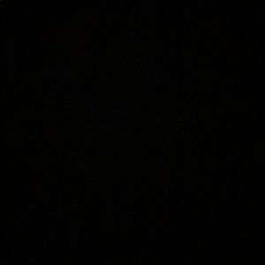 Meet your Posher, Shadaisha